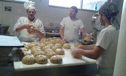 entrevistapanirocha2