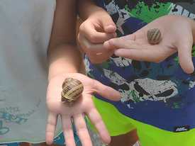 caracolcatl7