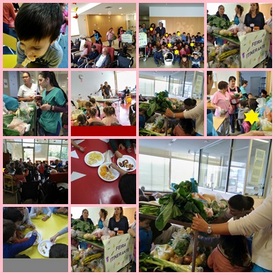 semanaalimentacaoji1